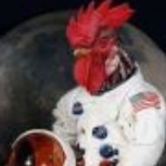 Redrooster