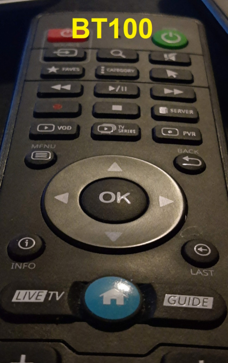 BT100.jpg